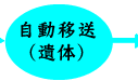 自動移送（遺体）