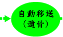 自動移送（遺骨）