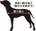 体長